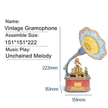 Load image into Gallery viewer, Vintage Gramphone AM43