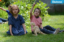 Load image into Gallery viewer, Walking T-rex D210