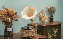 Load image into Gallery viewer, Black Gum Gramophone LKB01