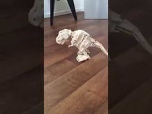 Load and play video in Gallery viewer, Walking T-rex D210