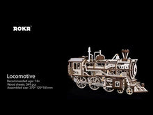 Load and play video in Gallery viewer, Locomotive LK701