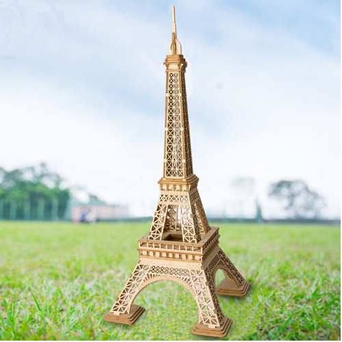 Eiffel Tower TG501